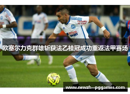 欧塞尔力克群雄斩获法乙桂冠成功重返法甲赛场 欧塞尔力克群雄斩获法乙桂冠成功重返法甲赛场